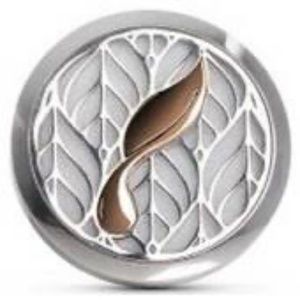 Young Living Car Vent Diffuser - Rose Gold